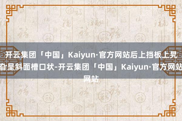 开云集团「中国」Kaiyun·官方网站后上挡板上旯旮呈斜面槽口状-开云集团「中国」Kaiyun·官方网站