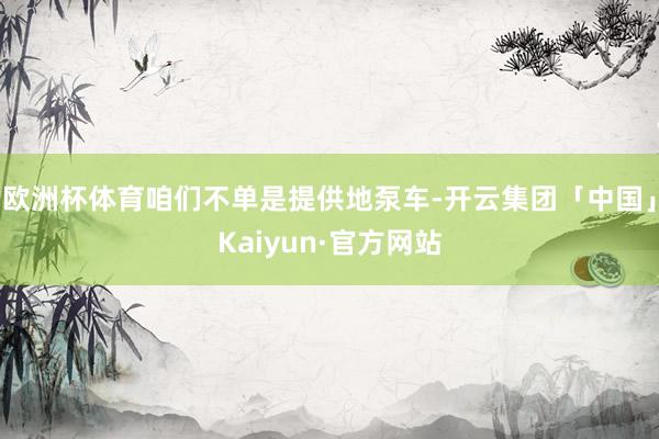 欧洲杯体育咱们不单是提供地泵车-开云集团「中国」Kaiyun·官方网站