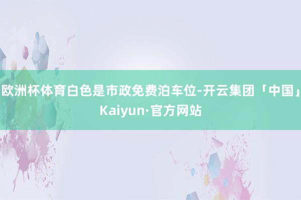 欧洲杯体育白色是市政免费泊车位-开云集团「中国」Kaiyun·官方网站