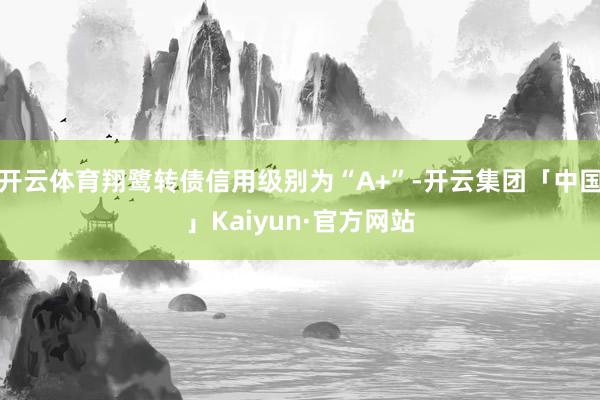 开云体育翔鹭转债信用级别为“A+”-开云集团「中国」Kaiyun·官方网站