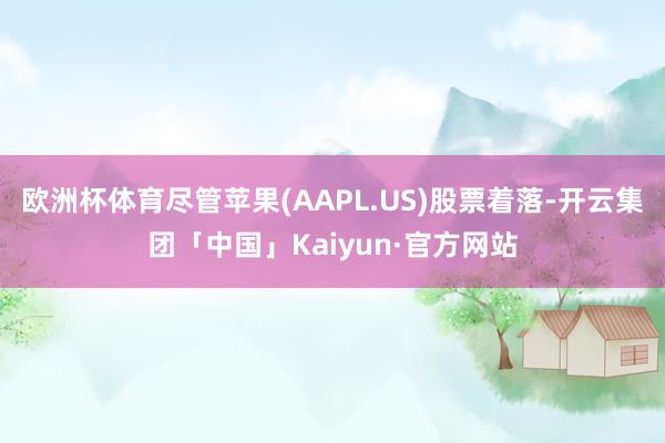 欧洲杯体育尽管苹果(AAPL.US)股票着落-开云集团「中国」Kaiyun·官方网站