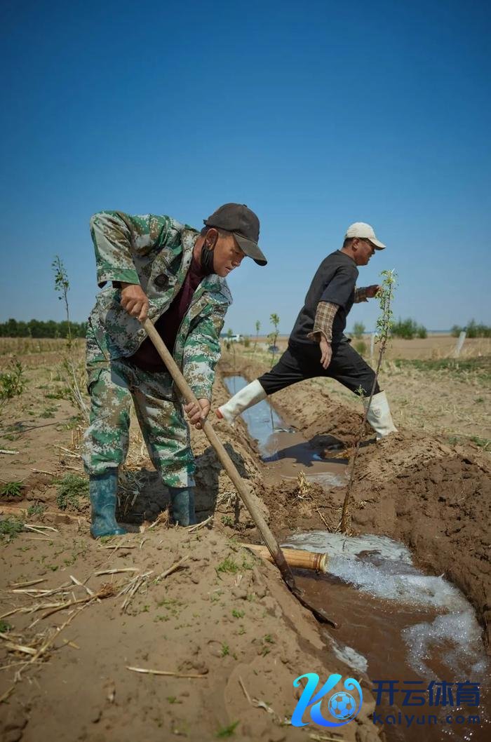  由于频年来降水减少，当地村民习气打井用地下水灌溉