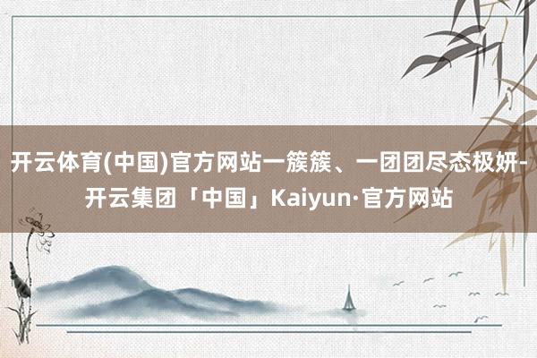 开云体育(中国)官方网站一簇簇、一团团尽态极妍-开云集团「中国」Kaiyun·官方网站