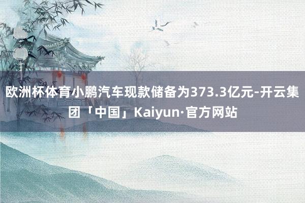 欧洲杯体育小鹏汽车现款储备为373.3亿元-开云集团「中国」Kaiyun·官方网站