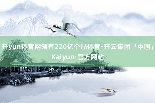 开yun体育网领有220亿个晶体管-开云集团「中国」Kaiyun·官方网站