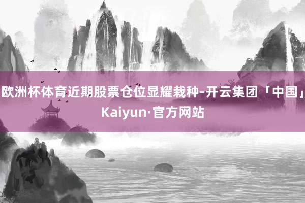 欧洲杯体育近期股票仓位显耀栽种-开云集团「中国」Kaiyun·官方网站