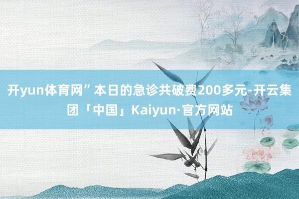 开yun体育网”本日的急诊共破费200多元-开云集团「中国」Kaiyun·官方网站