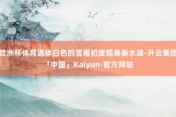 欧洲杯体育通体白色的雪雁初度现身衡水湖-开云集团「中国」Kaiyun·官方网站