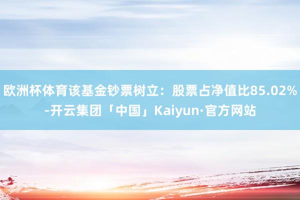 欧洲杯体育该基金钞票树立：股票占净值比85.02%-开云集团「中国」Kaiyun·官方网站