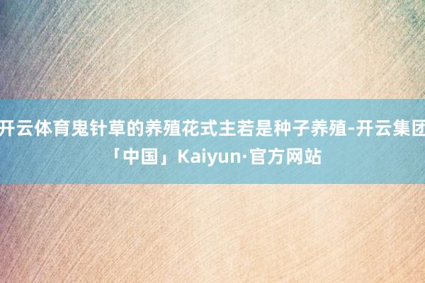 开云体育鬼针草的养殖花式主若是种子养殖-开云集团「中国」Kaiyun·官方网站