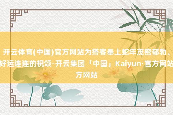 开云体育(中国)官方网站为搭客奉上蛇年茂密郁勃、好运连连的祝颂-开云集团「中国」Kaiyun·官方网站