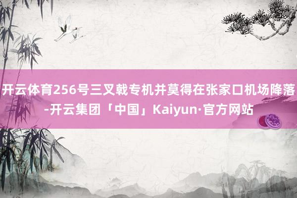 开云体育256号三叉戟专机并莫得在张家口机场降落-开云集团「中国」Kaiyun·官方网站