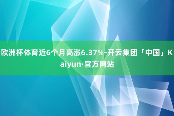 欧洲杯体育近6个月高涨6.37%-开云集团「中国」Kaiyun·官方网站